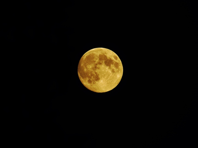 moon at 10:30pm Edmonton, Alberta Canada