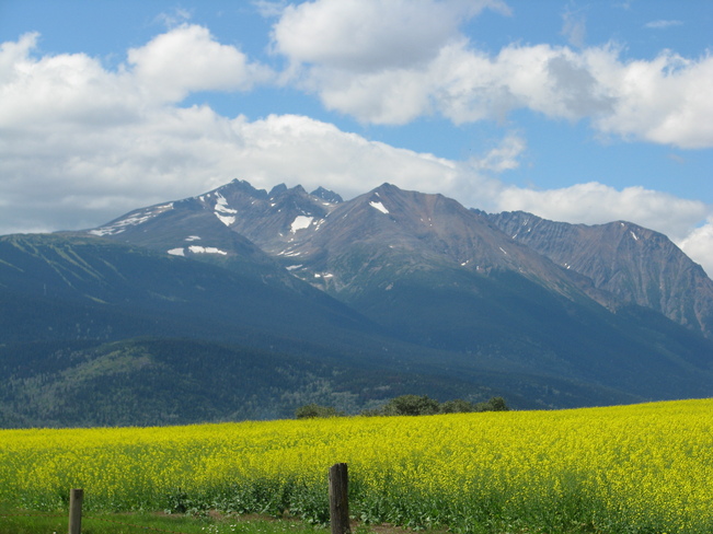 Mountains and Gold Smithers, British Columbia Canada