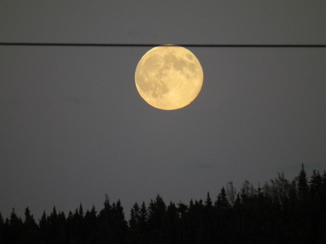 Moon ! Boyd's Cove, Newfoundland and Labrador Canada