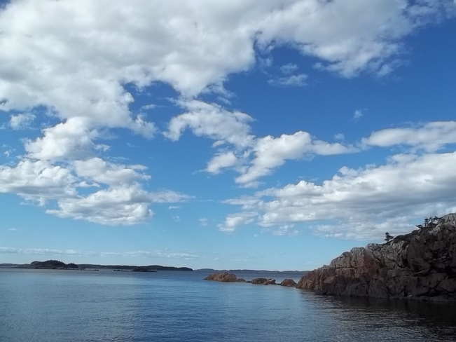 Beautiful Afternoon Birchy Bay, Newfoundland and Labrador Canada