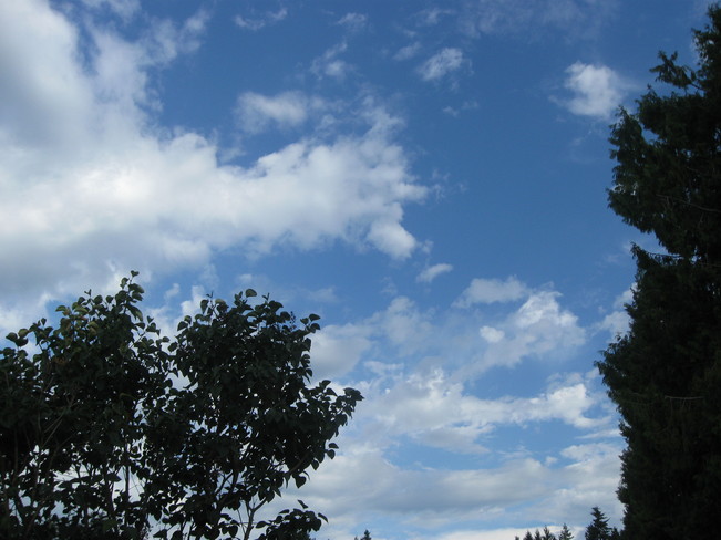 blue skies Surrey, British Columbia Canada