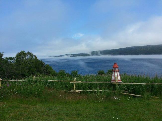 Mist on the water Chapel Arm, Newfoundland and Labrador Canada