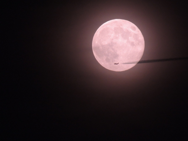 Jet flies pass the full moon. Liverpool, Nova Scotia Canada