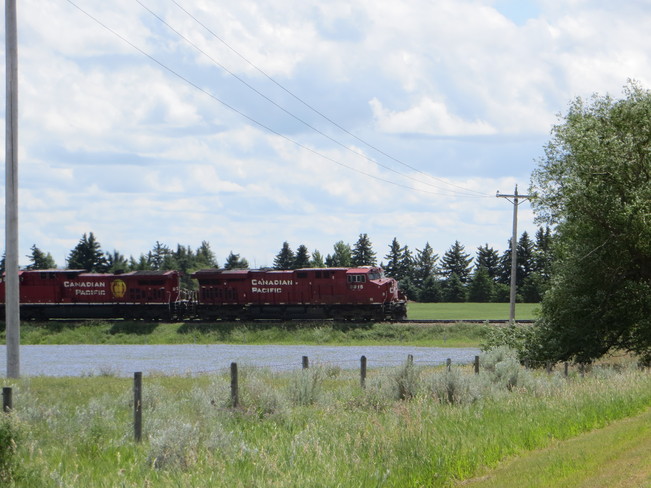 A Train on the Prairies Bow Island, Alberta Canada
