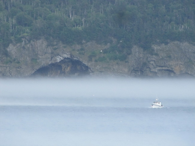 Fog on the Bay Norman's Cove-Long Cove, Newfoundland and Labrador Canada