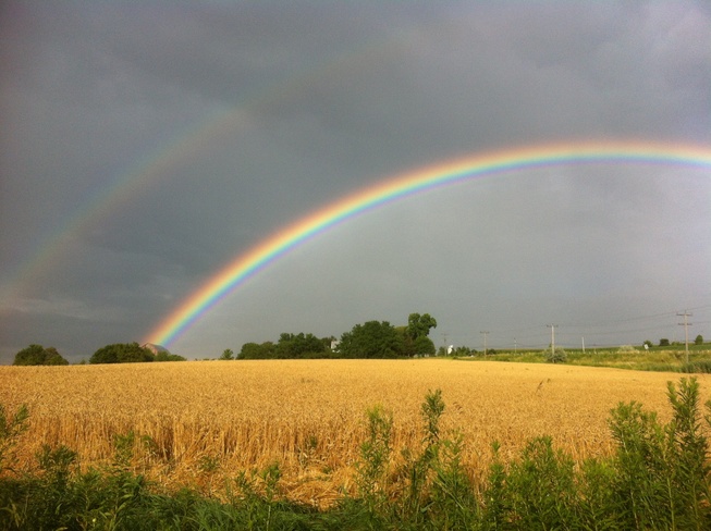 Brightest Rainbow! East Gwillimbury, Ontario Canada