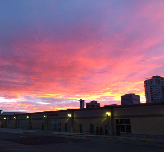 Early Morning Shot Calgary, Alberta Canada
