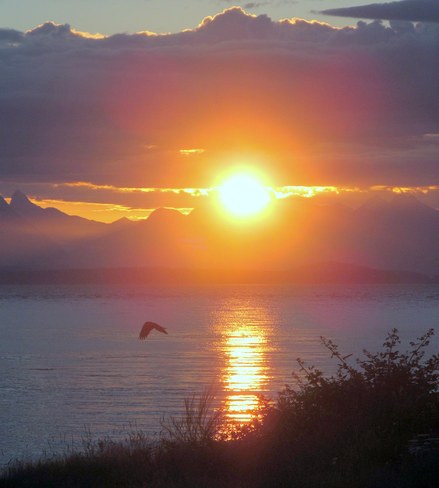 Morning Sunrise! Campbell River, British Columbia Canada