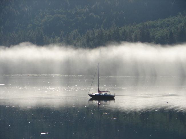 Foggy morning! Winter Harbour, British Columbia Canada