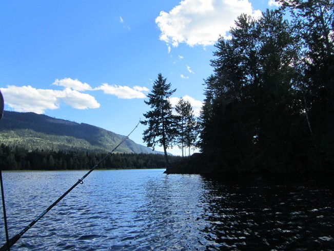 Perfect fishing Cherryville, British Columbia Canada