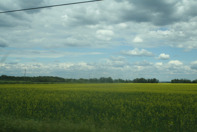 Fields of Beauty New Liskeard, Ontario Canada