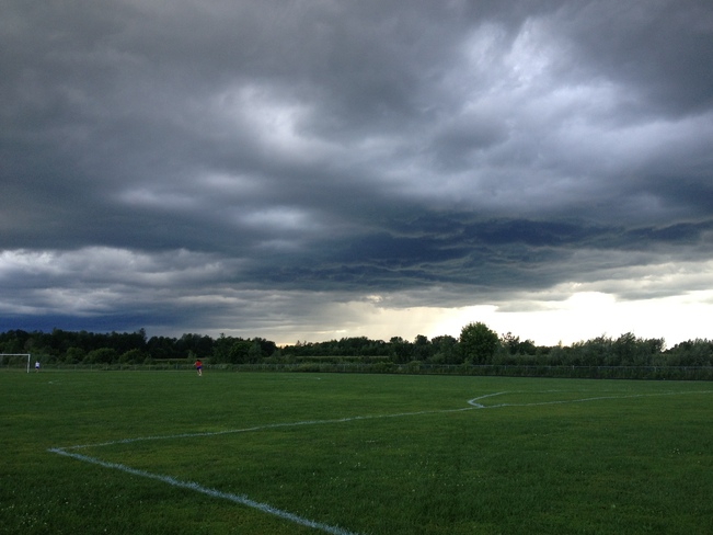 Stormy fields 