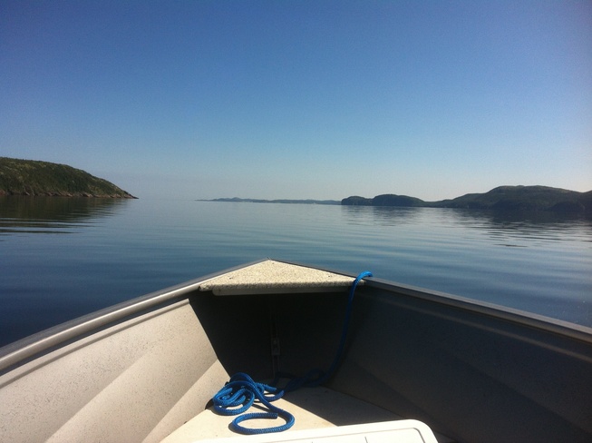 boat ride Princeton, Newfoundland and Labrador Canada