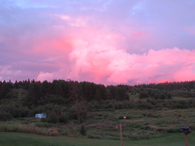 tonight's pink sky Rutherglen, Ontario Canada