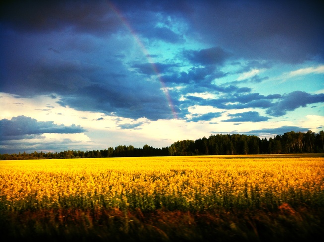 Rainbow Englehart, Ontario Canada