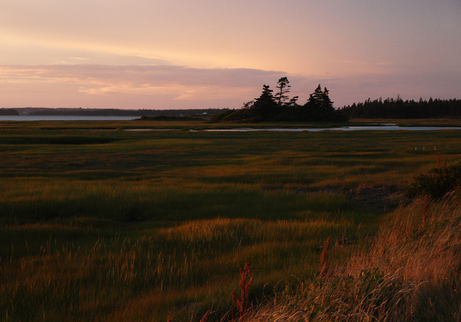 evening over the salt marsh Wedgeport, Nova Scotia Canada