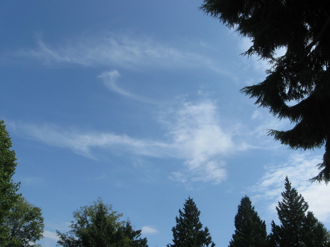 sky swirls Surrey, British Columbia Canada