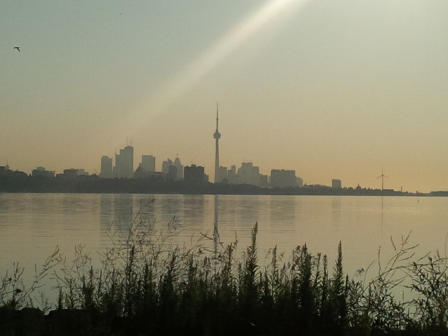 at dawn Toronto, Ontario Canada
