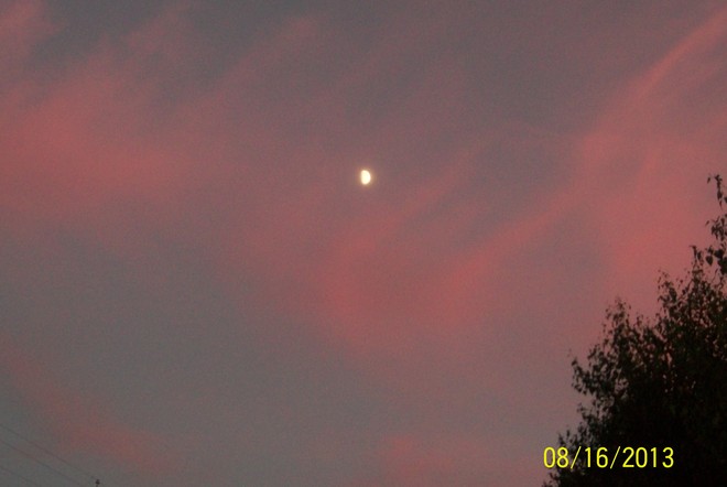 pink Sky & the Moon Shelburne, Nova Scotia Canada