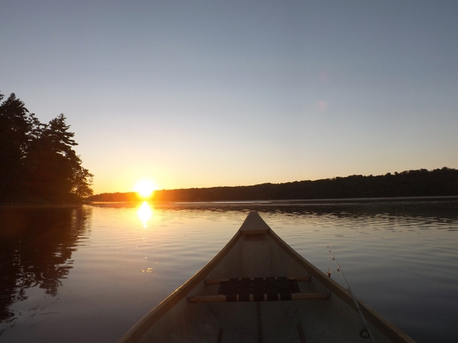 canoeing at sunrise Madoc, Ontario Canada