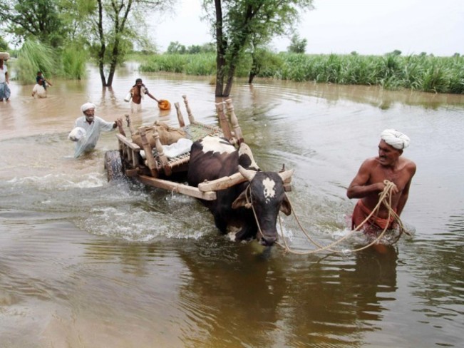 flood Kasur, Punjab Pakistan