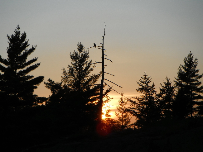 West Arm Sunset, Lake Nipissing Lavigne, Ontario Canada