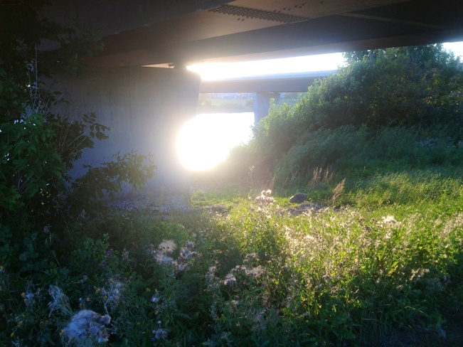 sun rays under bishop bridge Winnipeg, Manitoba Canada