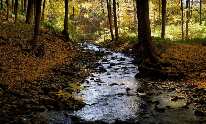 A Creek by the Bruce Trail Hamilton, Ontario Canada
