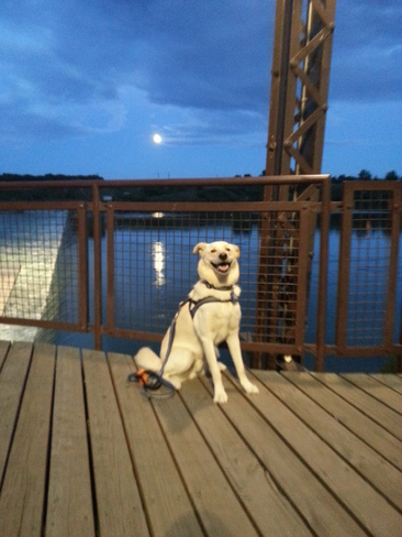 Full moon reflecting on South Saskatchewan River Saskatoon, Saskatchewan Canada
