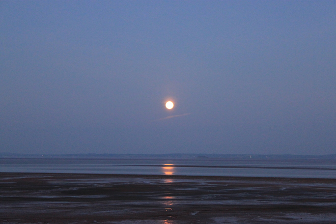 August Moon Canning, Nova Scotia Canada