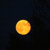 Que la lune est belle ce soir....