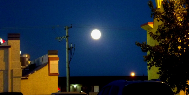 Blue Moon Yorkton, Saskatchewan Canada