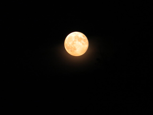 Full Moon London, Ontario Canada