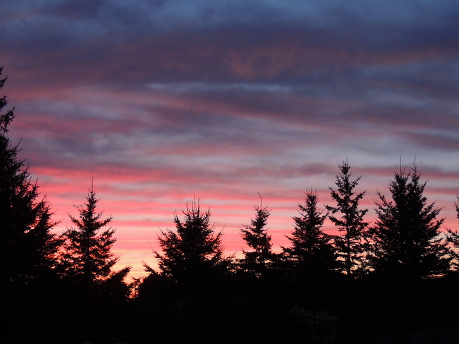 Backyard delight Sunset Fergus, Ontario Canada