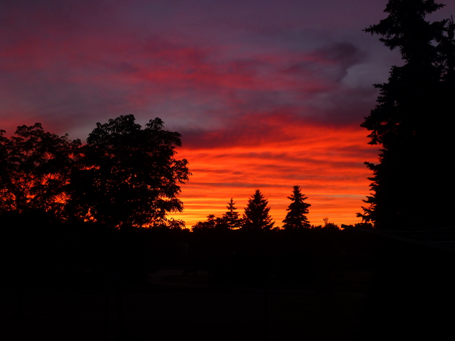 Amazing Sunset Waterloo, Ontario Canada