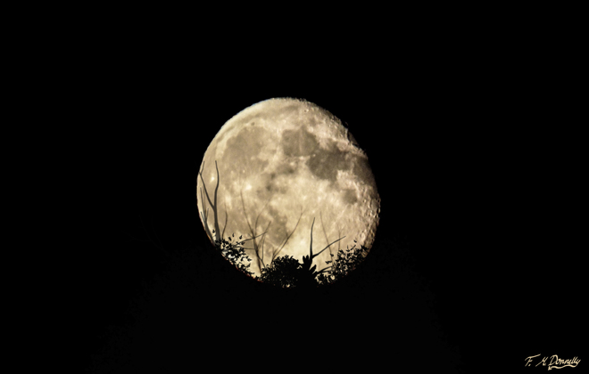 Moon Rise 23 Aug. 2013 Smiths Falls, Ontario Canada