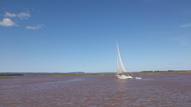 Sailing the High Tide at Wolfville Harbour-What a day! Wolfville, Nova Scotia Canada