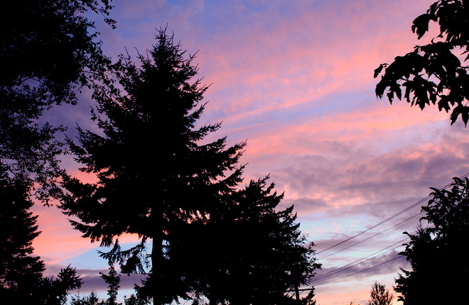 another sunset Surrey, British Columbia Canada