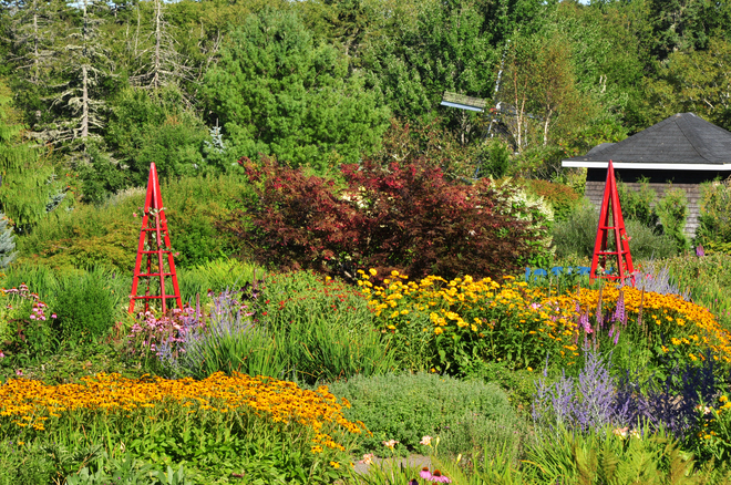 summer colours Moncton, New Brunswick Canada