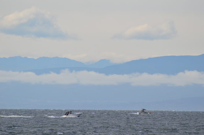Two Boats In Water Sunshine Coast, British Columbia Canada