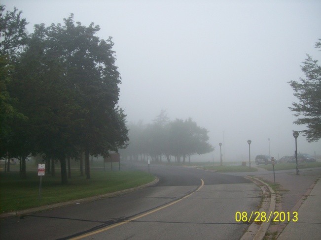 Foggy Weather outside Loyalist College Belleville, Ontario Canada