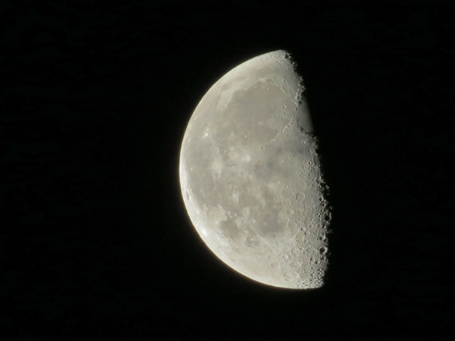 5:30 am Moon at Edmonton Edmonton, Alberta Canada