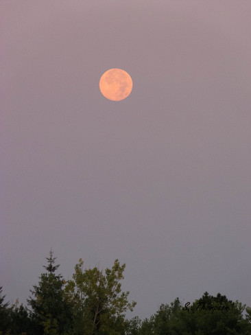 Red Moon Tottenham, Ontario Canada