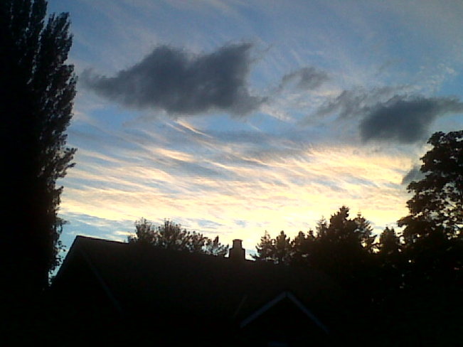 Clouds over trees at sunset. Courtenay, British Columbia Canada