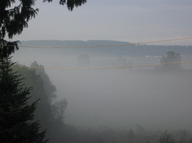 fog in the flats Surrey, British Columbia Canada
