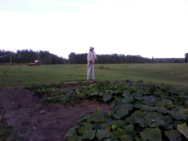 Scarecrow New Liskeard, Ontario Canada