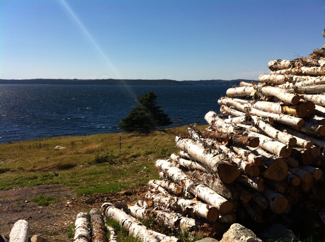 wood is ready! Bonavista, Newfoundland and Labrador Canada