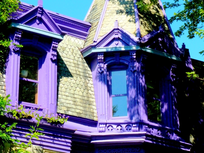 The Purple House Montréal, Quebec Canada