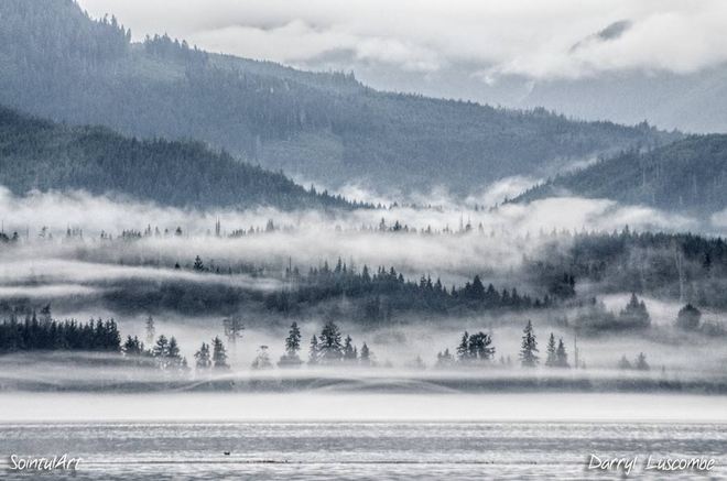 Misty morning Sointula, British Columbia Canada