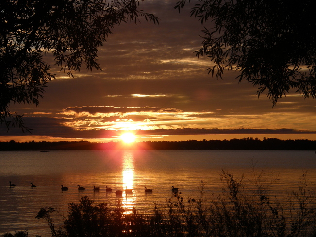 Another Beautiful Sunset Over Cameron Lake Fenelon Falls, Ontario Canada